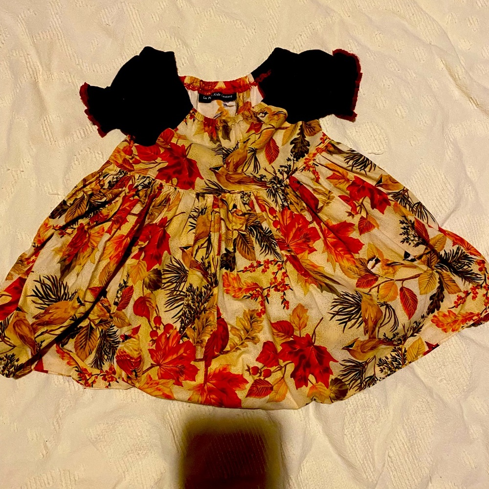 La Posh fall dress 18 months